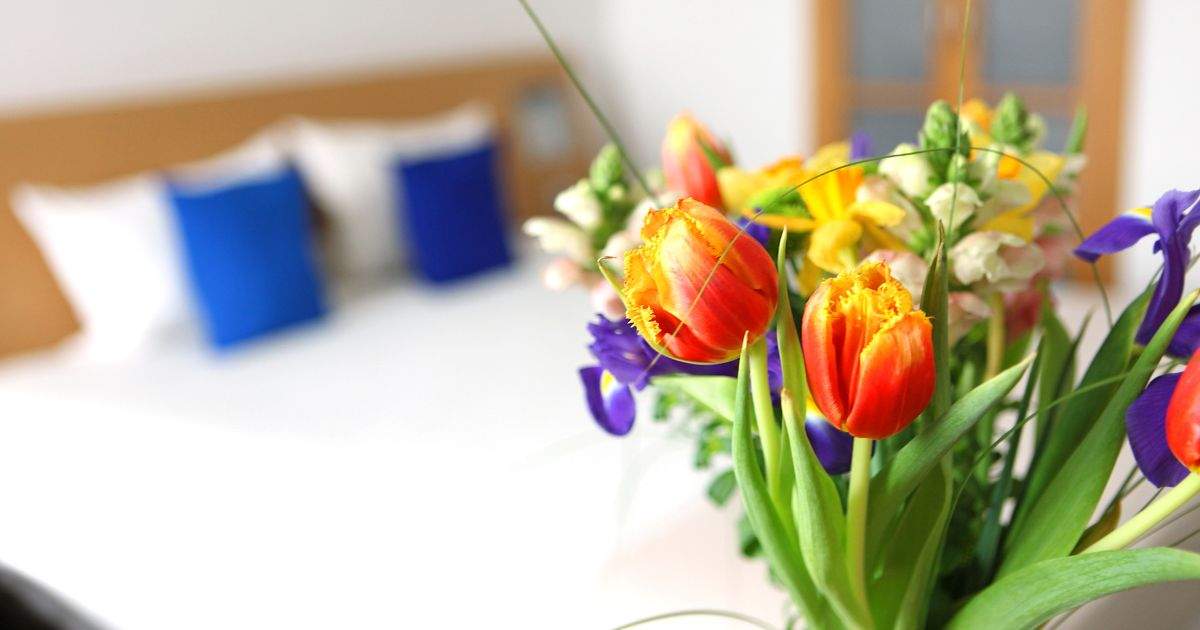 Arreglos florales para hoteles y la decoración para eventos