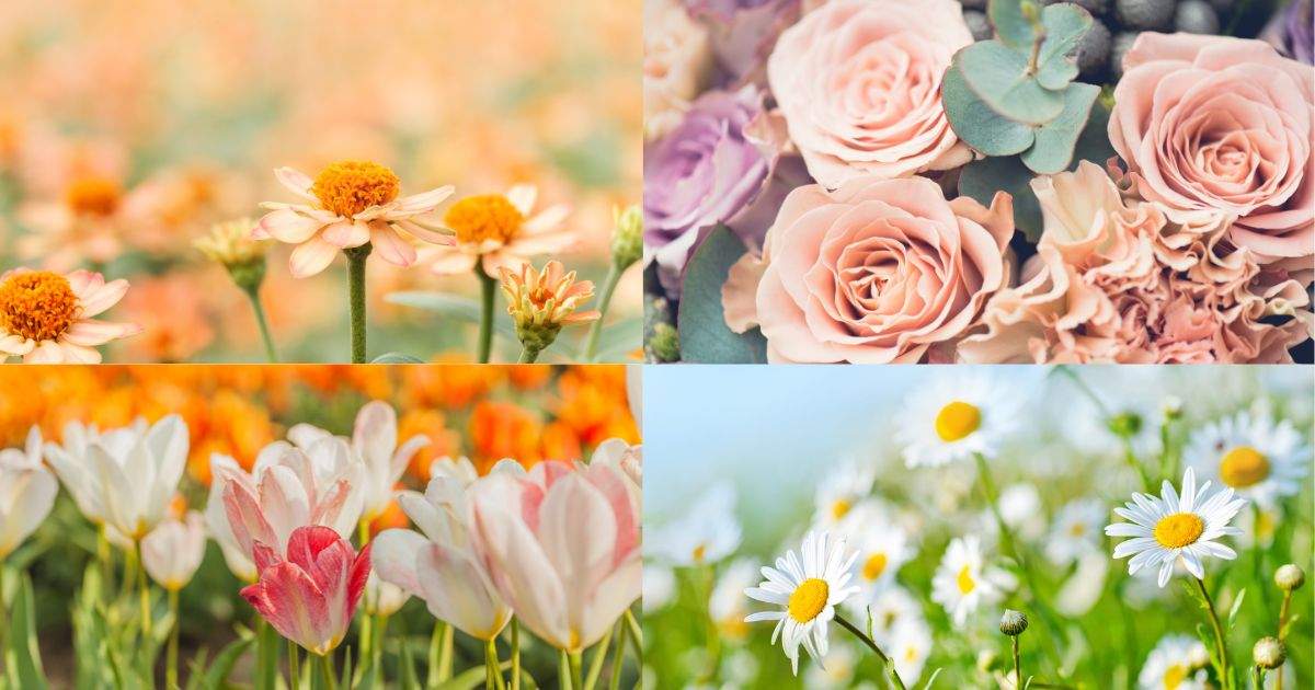 ¿Cómo elegir las mejores flores de temporada?