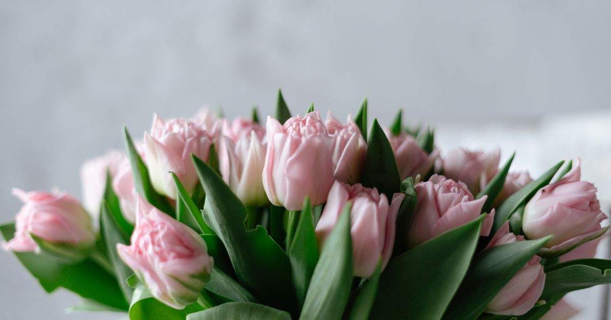 El arte sublime de crear un ramo de tulipanes